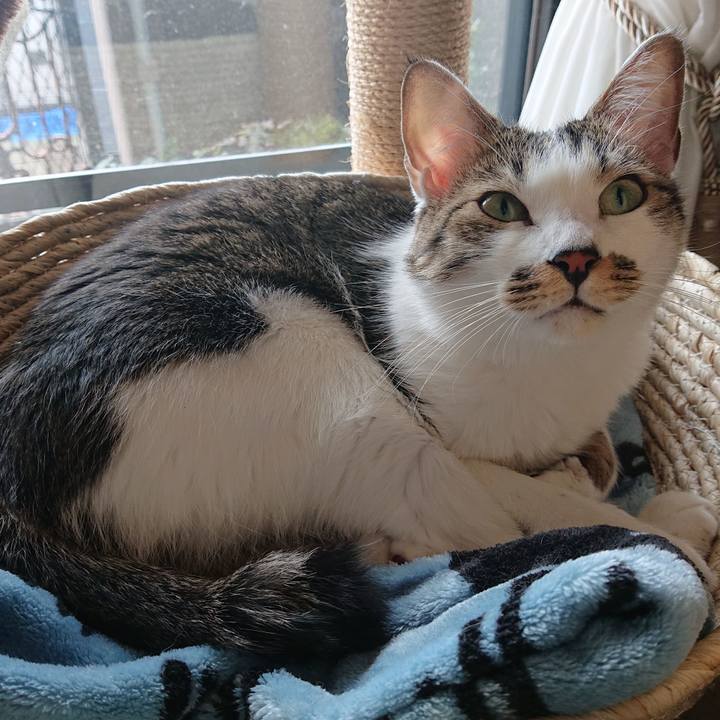 Dab7d1c2 7cfd 4da8 82cc 287b08a8a33e 1638678717187