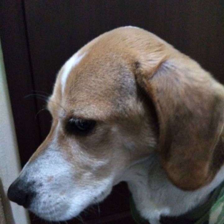 Dab7db1f 2ee5 401b 8f62 2afd3fc5ffd0 1681563354753