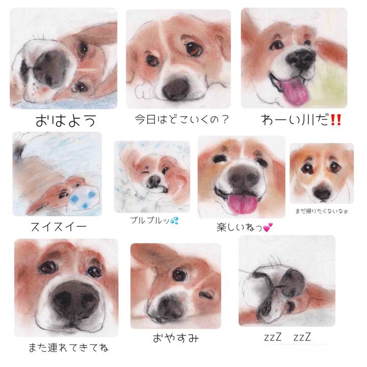 Dab7e567 78ea 439c a209 44d319973817 1666573516770