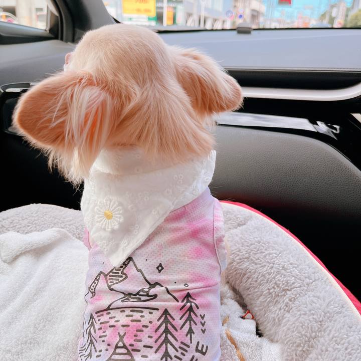 Dab7e9af 5106 42a8 91c8 b0385ba8c93f 1656242955566