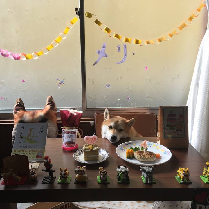 Dab7ee3a 1432 441b 9d1d ef87eb521442 1541888112590