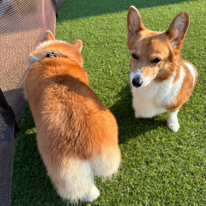 Dab80e30 c67e 4985 b002 b39a02b164e4 1753395912245