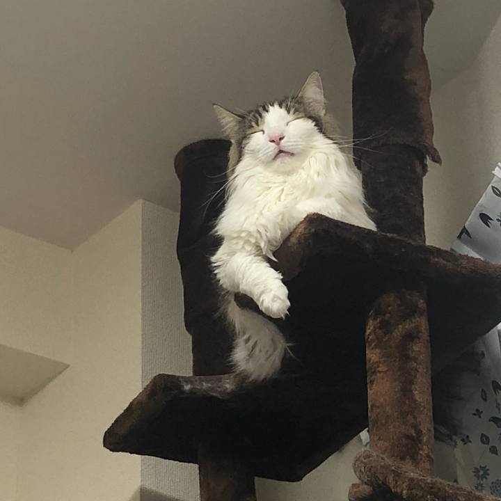 Dab829c2 f25e 46b6 ae77 0eac897405b3 1558355787502