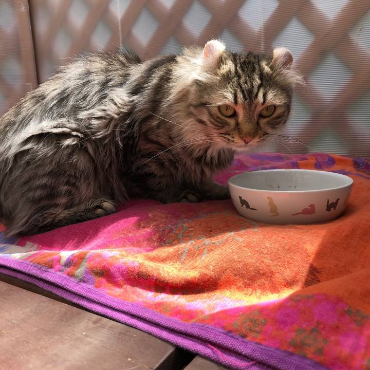 Dab83f71 aec1 4398 8ac3 b9c94660a3ef 1604981761991