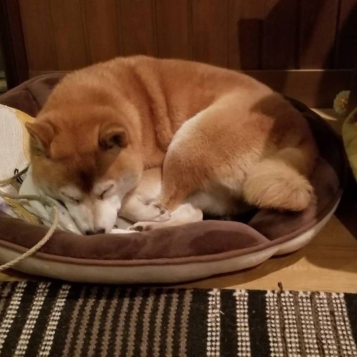 Dab840da b373 48c0 a9bc 4a5450dcb9cc 1573895517391