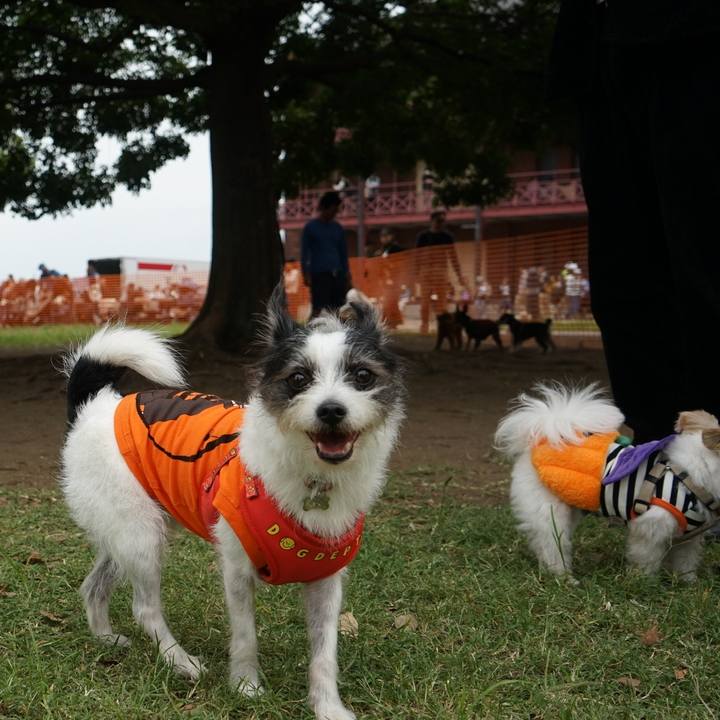 Dab852c6 f9ea 49cf 81d4 edf4445c708a 1696837382454