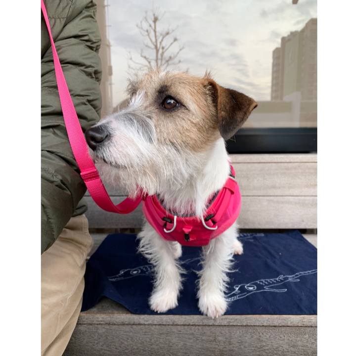 Dab8899d 1f1d 4e5e 9edc 0f581d8d265b 1580036711469