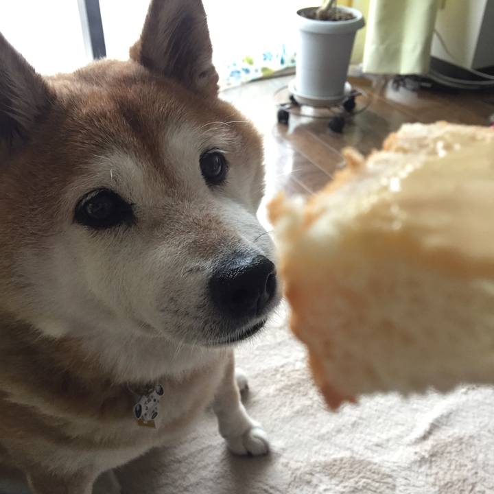 Dab89261 9ce0 4b91 8f4c 465d2b507e4f 1561071264681