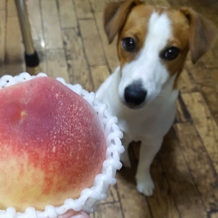 Dab8a24f 4626 4029 ad92 658a2b58d644 1563619075973