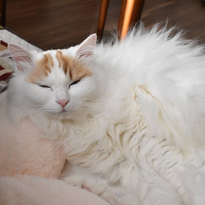 Dab8ed2a 9845 4379 87d9 c67fb590c3c9 1766194106635