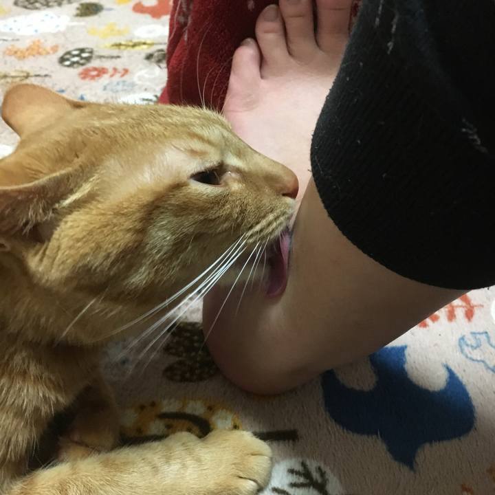 Dab8f68a da4e 4eb7 8acb 5c10905cc1a7 1523199100953