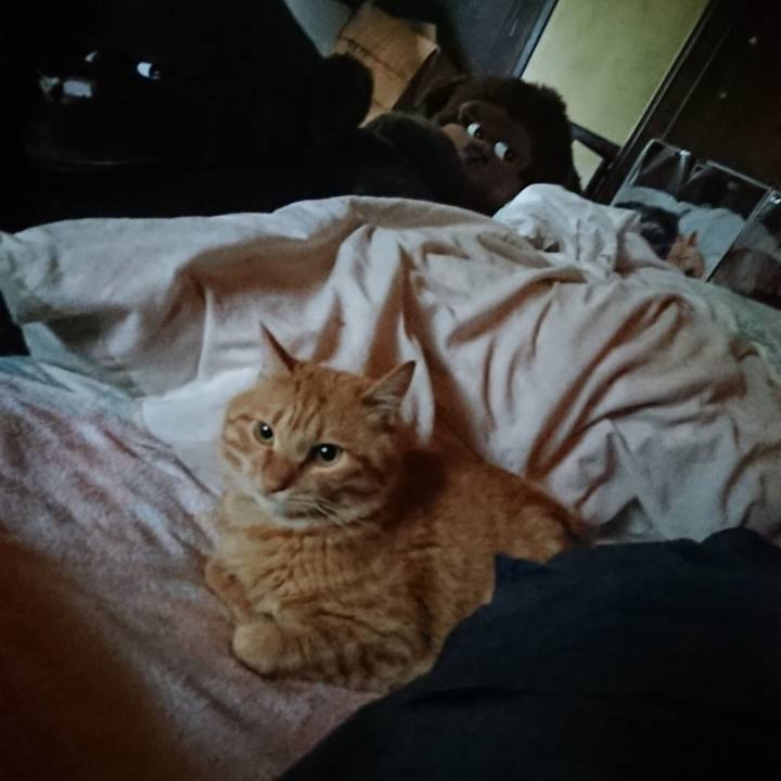 Dab92ee8 c054 4e12 9d6d d7ddbc7168f8 1659647221379