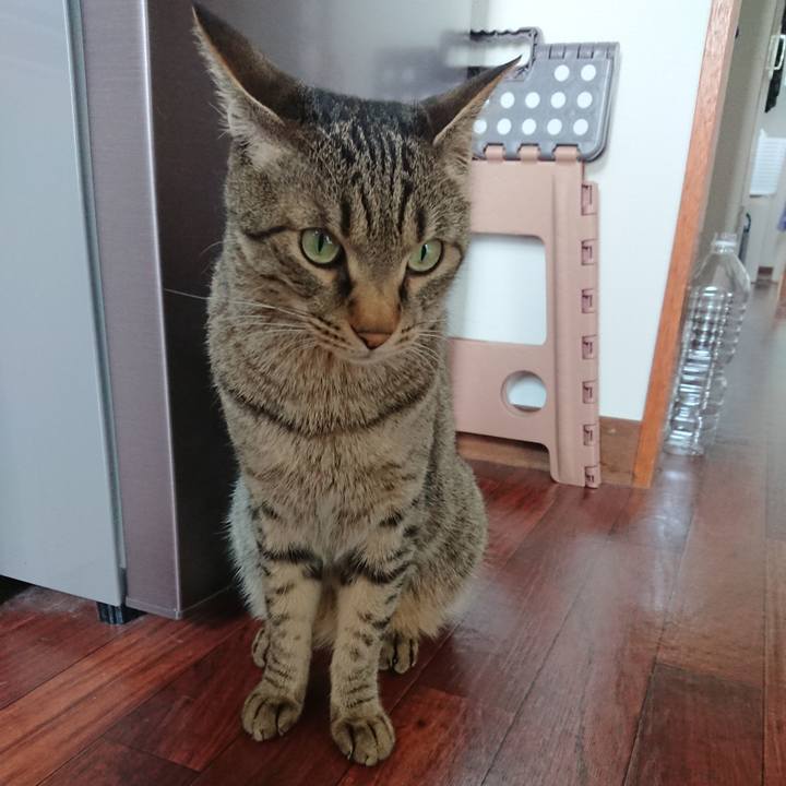 Dab93710 828e 4840 8034 5d1d27b2b5ad 1557632848303