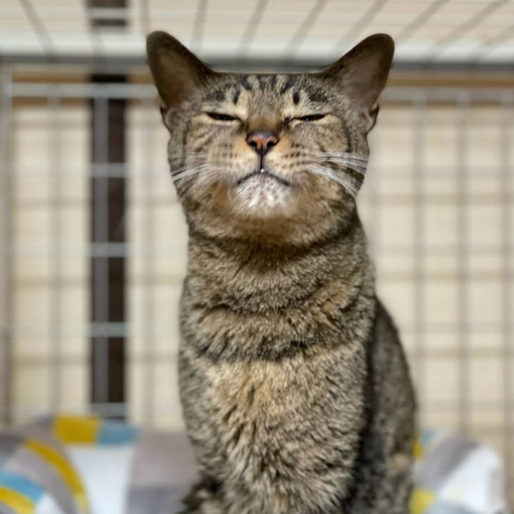 Dab9cd06 cd18 4209 aaaf b4b513049e13 1620006453730