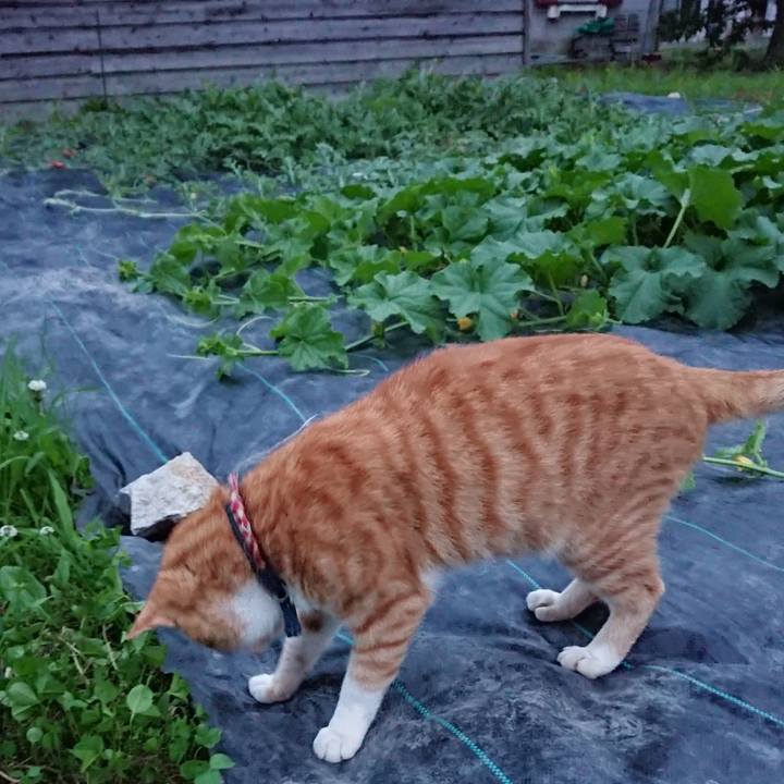 Dab9e2cf 065e 419c aea4 3673fe1cd8ab 1563708473333