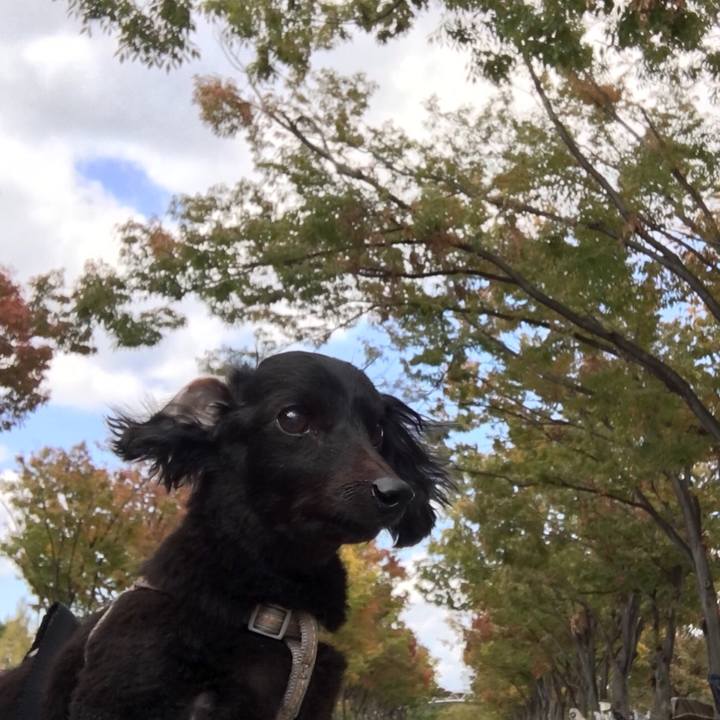 Daba1a1f 03c9 4a88 9826 90ebaa05f9f1 1540868367305