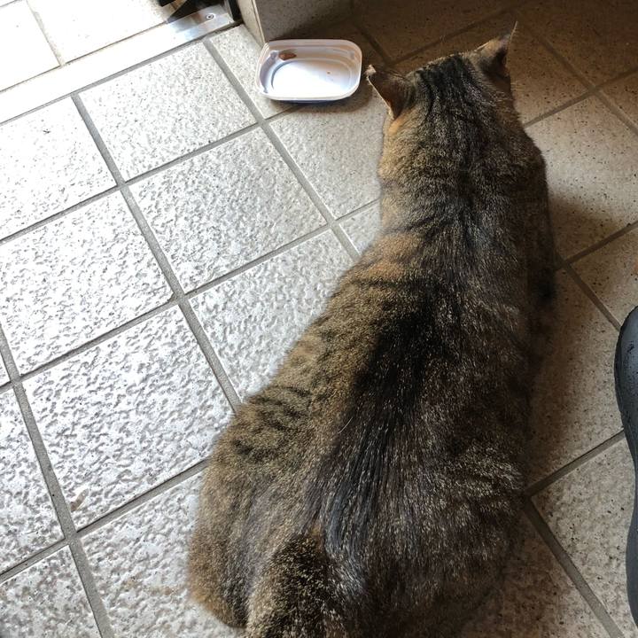 Daba1dd6 97d4 4f4f 8dc8 082087b7f226 1532059215723