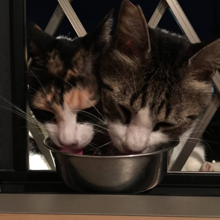 Daba202f da26 4785 a778 57f439b70941 1530927836983