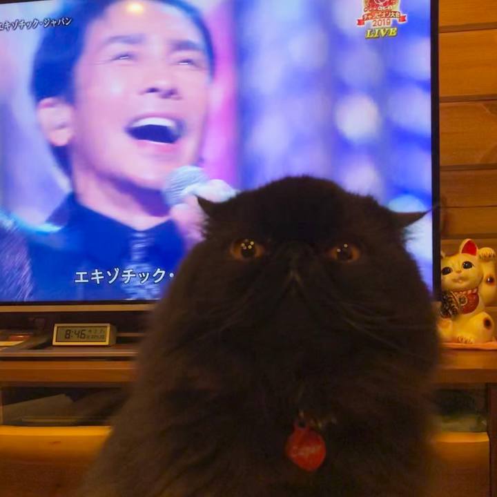 Daba3e85 d3c8 4f66 b488 6390f7becc58 1551527939388