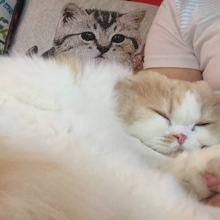 Daba593e a722 4e2d 950d c03272e3ede3 1525337998404