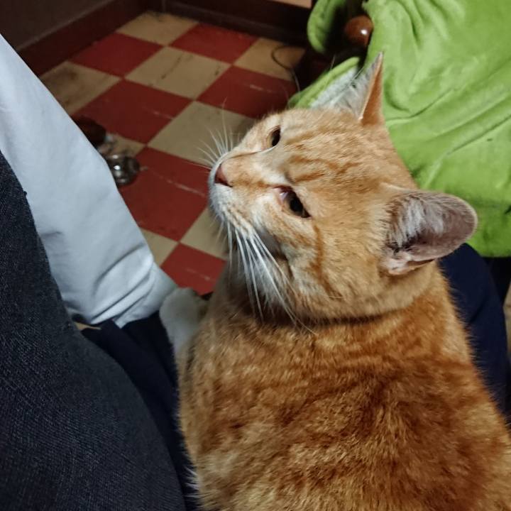 Daba5f55 dab1 43f8 a049 6b180c372842 1583398788937