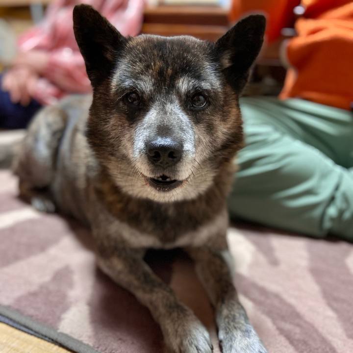 Daba642f 2049 4fcf 830f bcfcc4cd6458 1646393572835