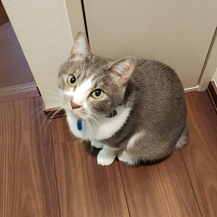 Daba7d1d fec6 4768 8c4b 2a3283c2b74b 1705874056897