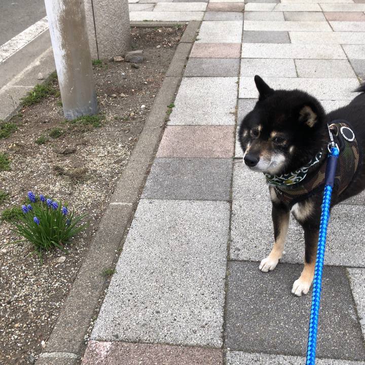 Daba8754 7491 4c1b 932d f4fd26f0aaf1 1556100461350