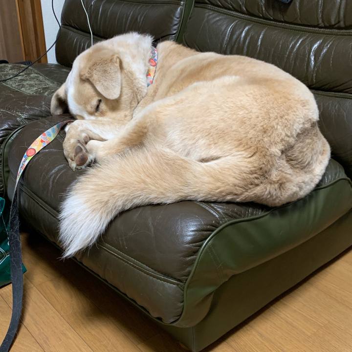 Dabada13 e834 4455 b50a 1e74bbe89e52 1550844066531