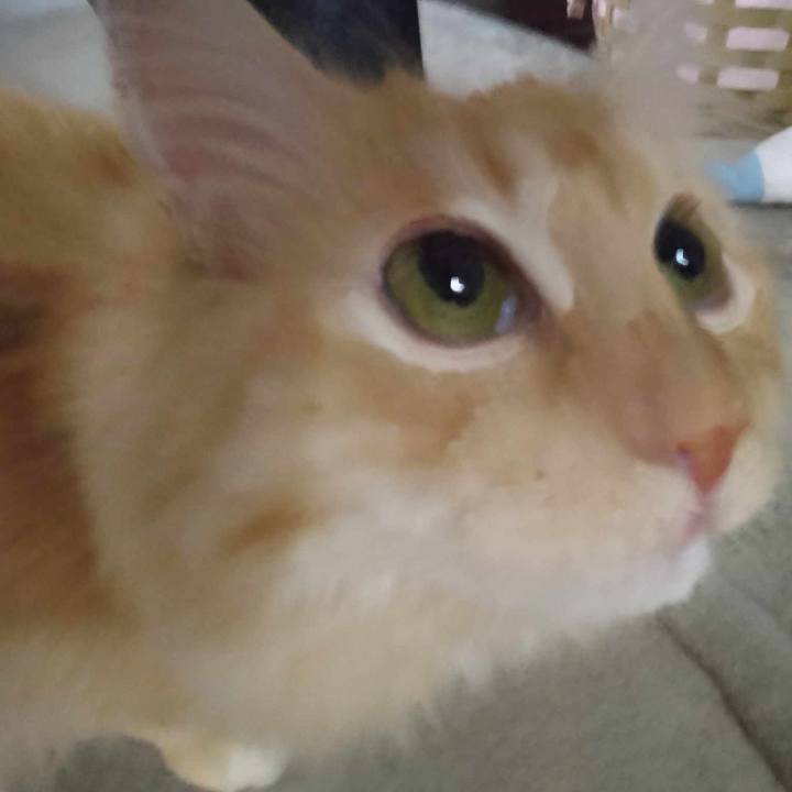 Dabaef22 11d0 4f0e add9 a6ac12612c27 1690168510444