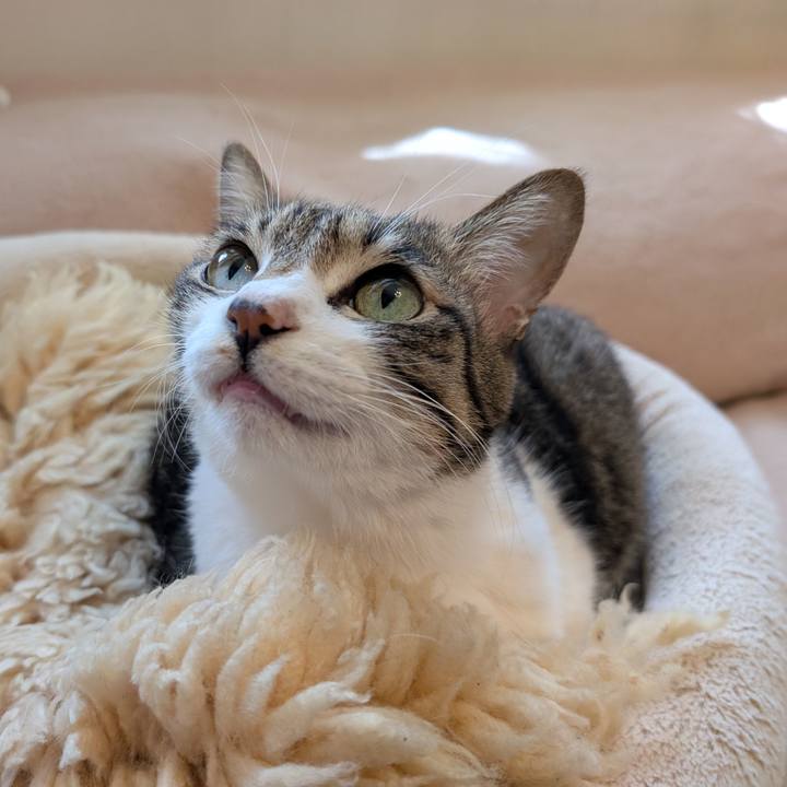 Dabaf3a6 93ed 4ba6 bff2 52fef5225a76 1770251238526