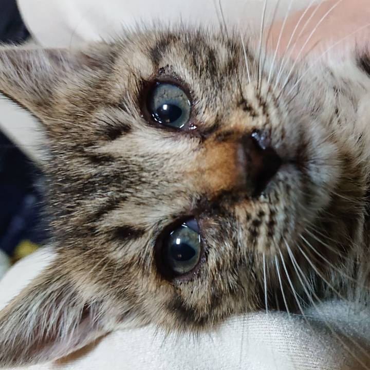 Dabb1f47 eab1 4317 96cf c829a0a99a94 1558098292495