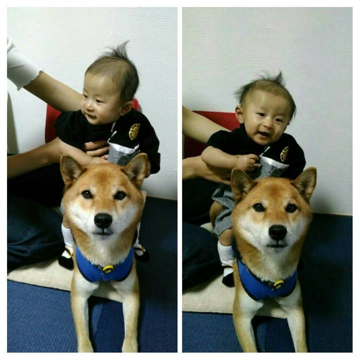 Dabb22da 6b14 41f9 b0fa a007e72d7bfc 1540034233439