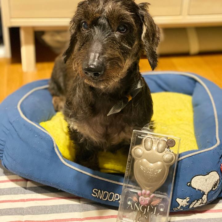 Dabb3d4e 4afc 4cdd b868 3771dc11dfc0 1569245580456