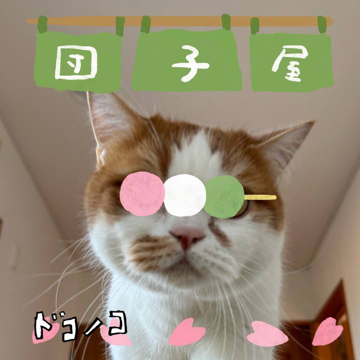 Dabbc0fc abf5 42fe 8cf8 60e36310b5b8 1712206970678