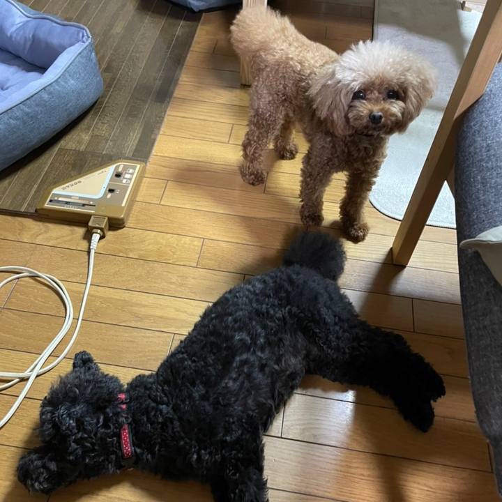 Dabbc8f4 0a3d 4ab6 bf3b 1ca81994a726 1656712700908