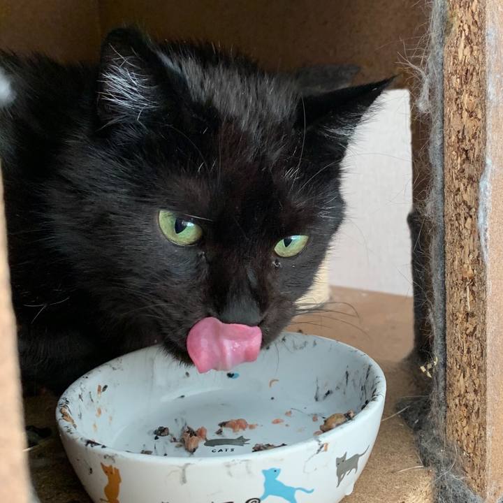 Dabc09e3 30e0 45cc a693 320ada5cc04e 1589858484964