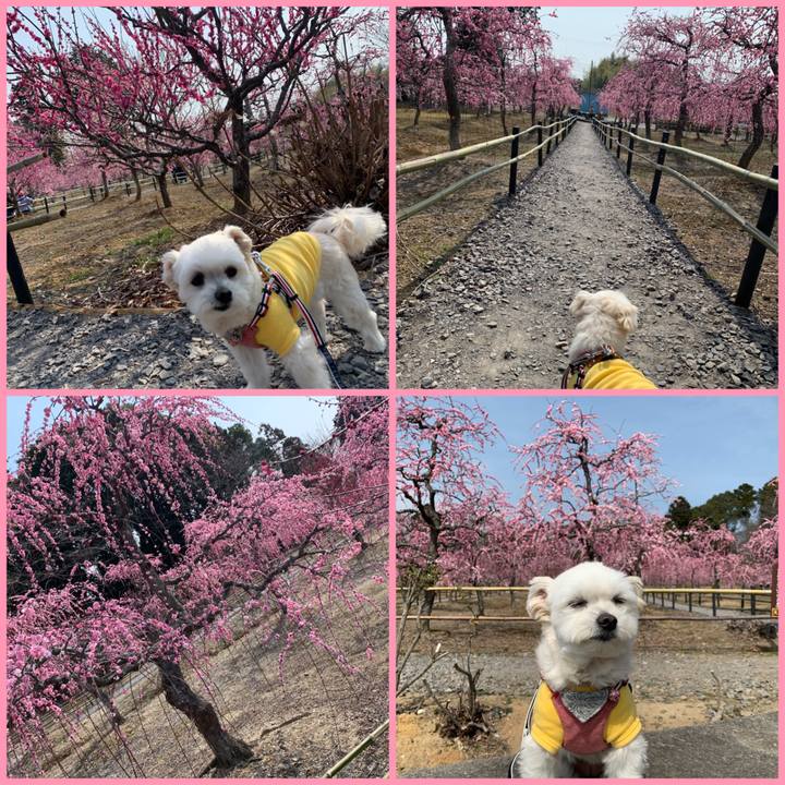 Dabc106f db59 4c0a 8e65 97bfbb00f8f4 1646997254037