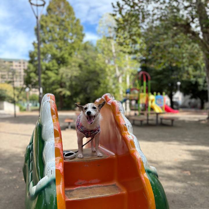 Dabc2130 6d6c 4601 84b3 2f4d20d0b6f2 1759965573434