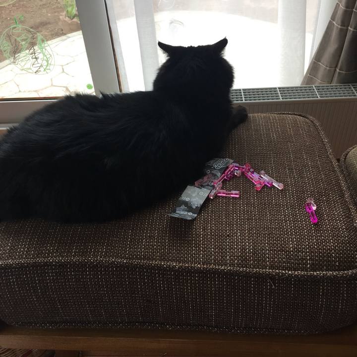 Dabc56ea 5bbf 47e1 9672 058190bbe768 1524883606640