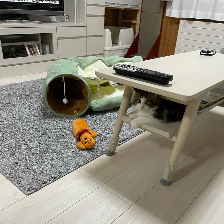 Dabc8783 011b 4aa2 a288 2a163b6b213f 1631791874177