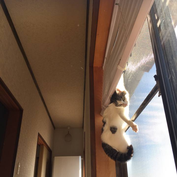 Dabc926b 1c31 4a78 b092 8a78214f614d 1526970069080