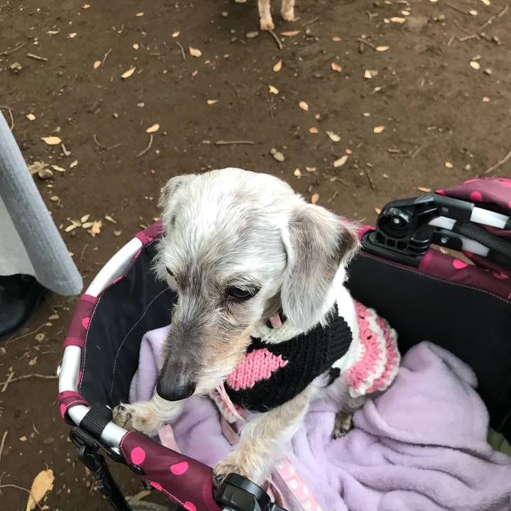 Dabca2f4 4be8 41ae 8019 38b2b2c01f07 1509174905061