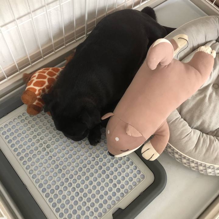 Dabcaa6f 990b 43d4 9f25 126b4d99765d 1596258764080