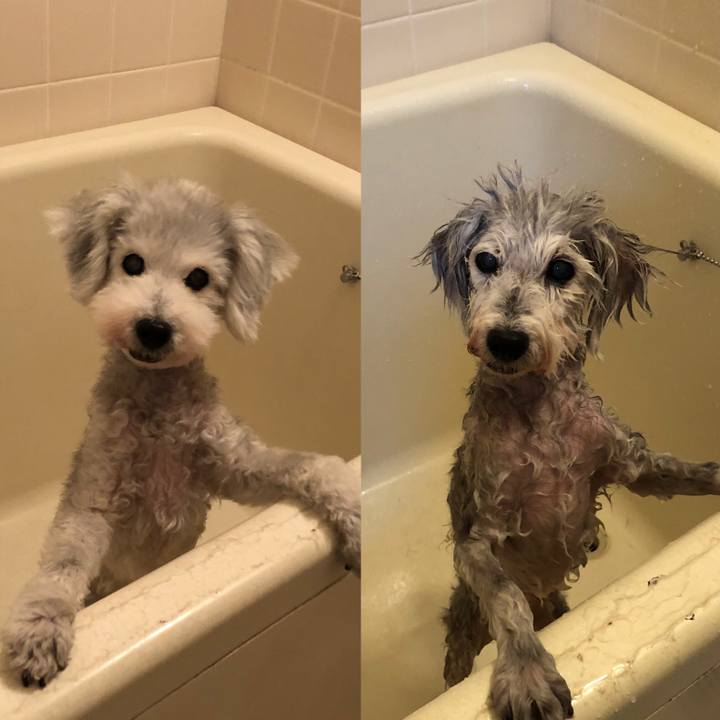 Dabcadec f27b 4e78 bc1f 06dd07be7588 1634209912587