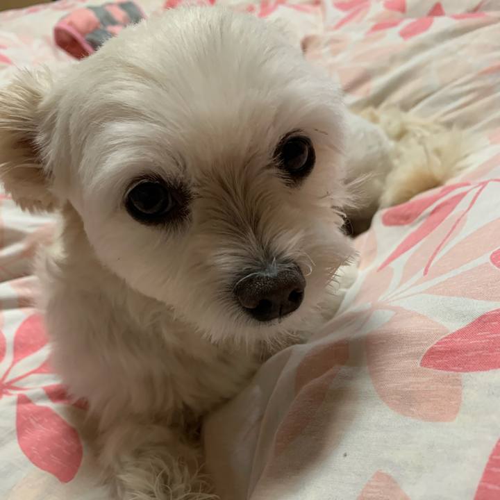 Dabcb380 fb4b 421f 9da1 14ff523d5e5d 1634470452616