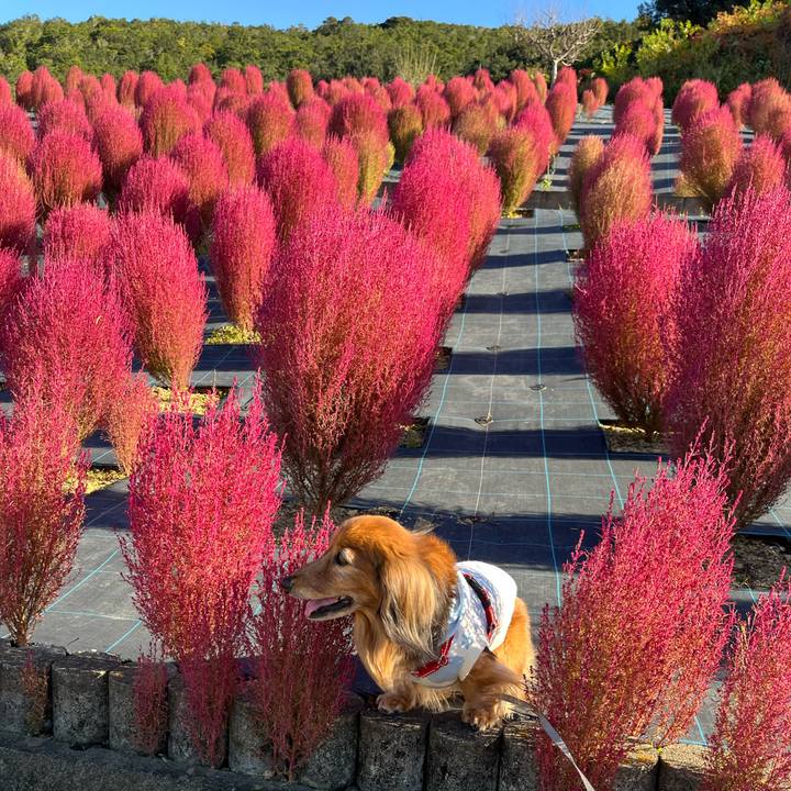 Dabcbfad f446 4951 8be4 038ba761600d 1763185873211