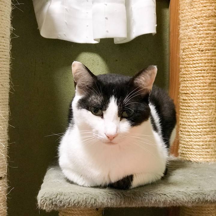 Dabcd1e7 0a01 4d02 9a31 cb225b0ed52d 1531925208030