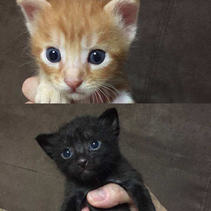 Dabce3c3 199e 46f3 aff7 129ab5068929 1532836146530