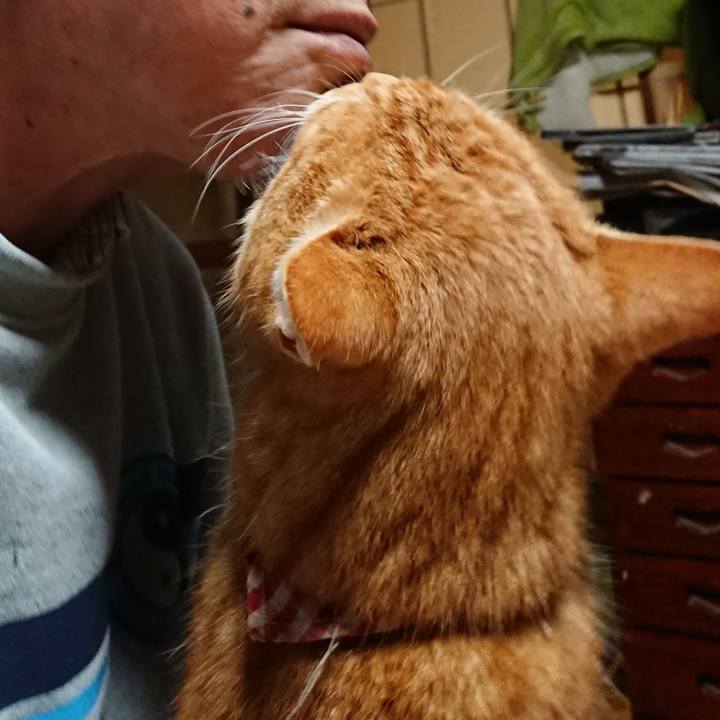 Dabcf027 be94 4ec0 9615 cd6c6eeb82ba 1608581422597